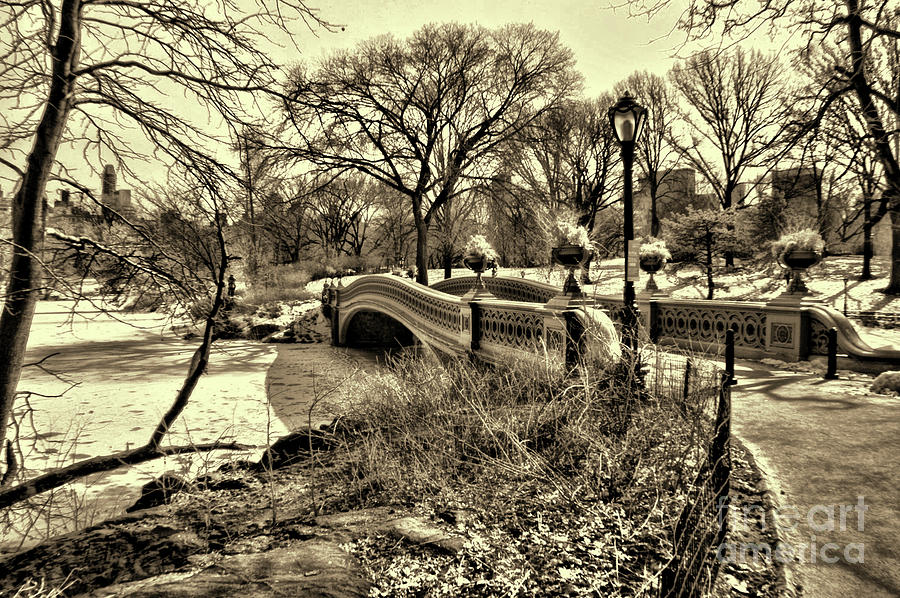 Infrared Central Park This Way to the Bow Bridge sepia Photograph by Paul Ward