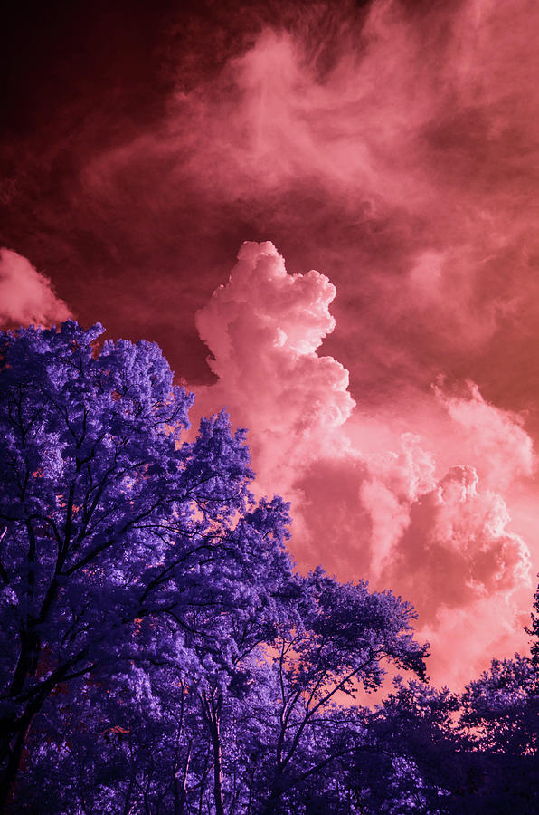 Infrared Clouds Photograph by Alan Goldberg