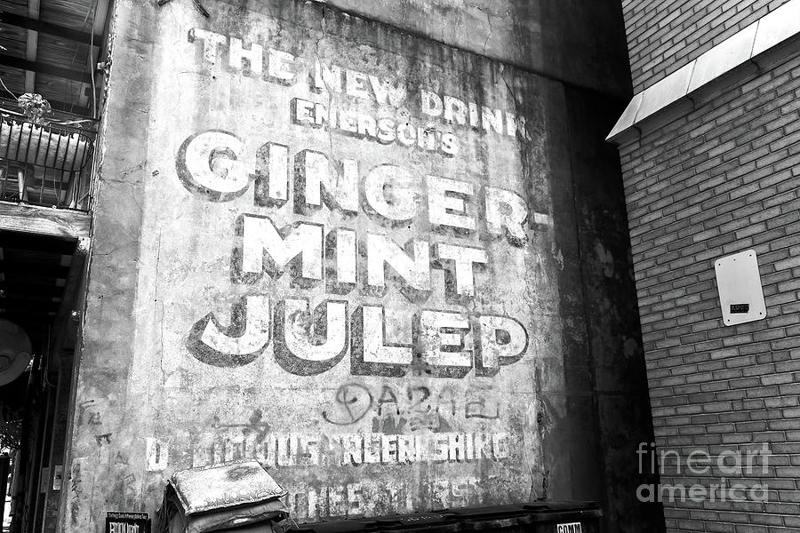 Infrared Ginger Mint Julep New Orleans Photograph by John Rizzuto
