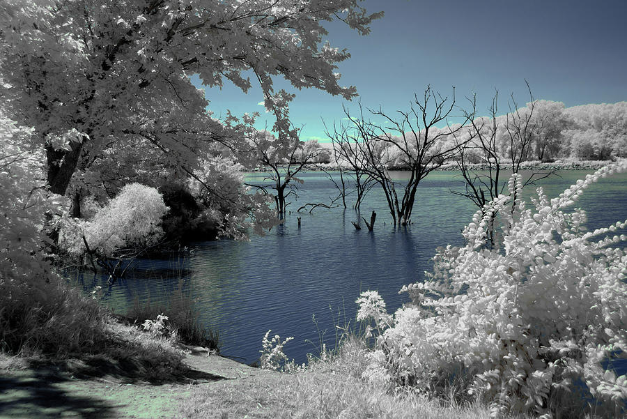Infrared Harvey County Lake Photograph by Brian Duram