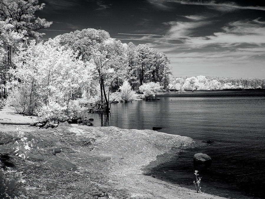 Jordan Lake - Infrared Photograph by Minnie Gallman