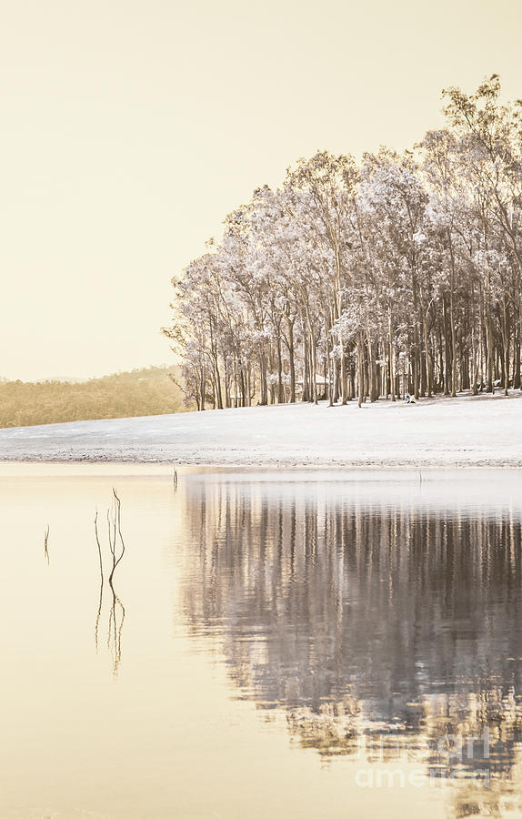 Infrared Lake Samsonvale Photograph by Jorgo Photography