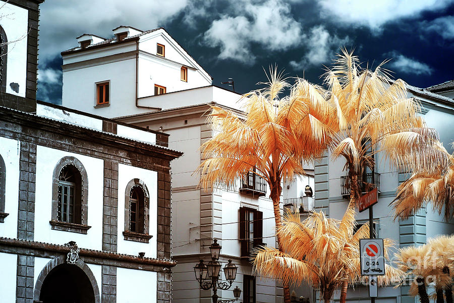 Infrared Orange Trees in Sorrento Italy Photograph by John Rizzuto