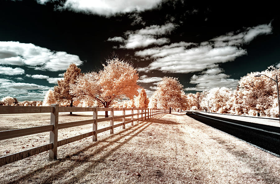Infrared Park Drive at Spooky Brook Photograph by John Rizzuto