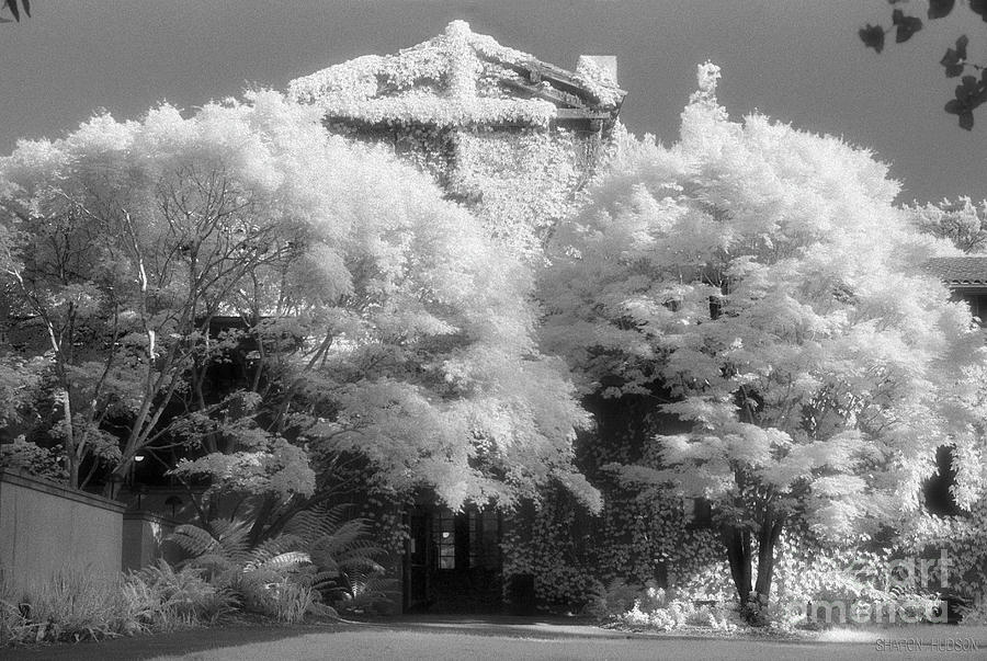 surreal photography - Infrared Faculty Club Photograph by Sharon Hudson