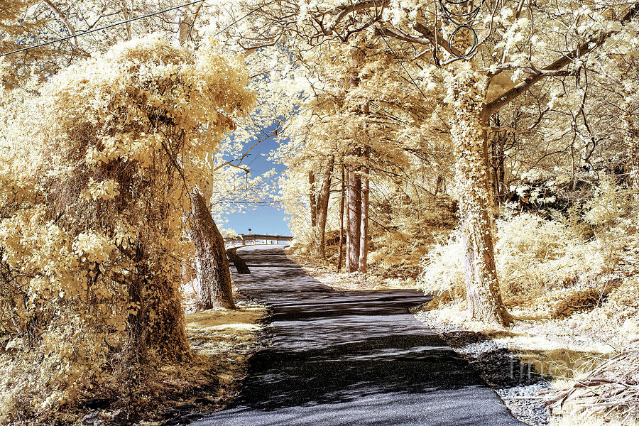 Infrared Road in Clinton New Jersey Photograph by John Rizzuto