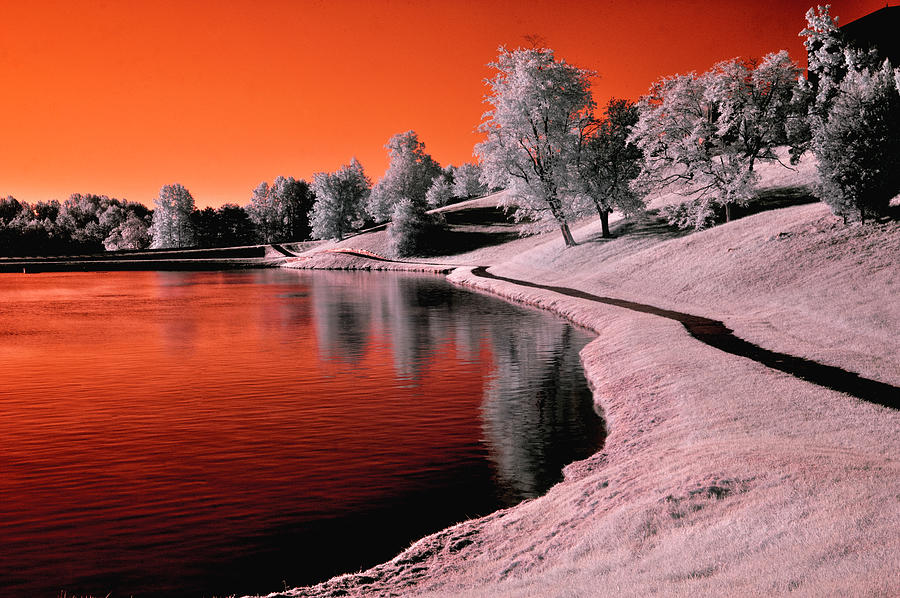Infrared Sunrise Photograph by Anthony M Davis