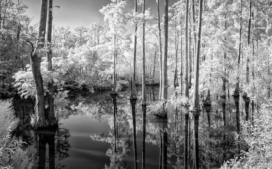 Infrared Wetland Photograph by James Barber