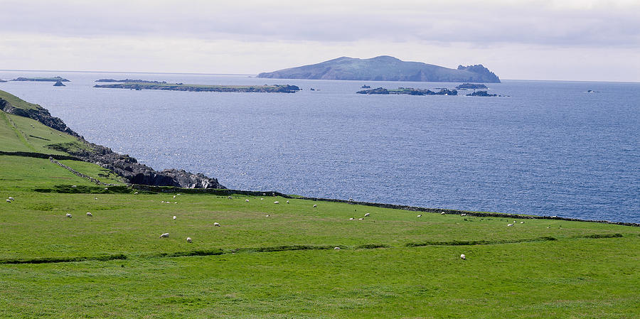 Inishtooskert (also called the Sleeping Giant), one of the Blasket Islands seen from Slea Head, Dingle Peninsula, County Kerry, Ireland Photograph by Hiroshi Higuchi