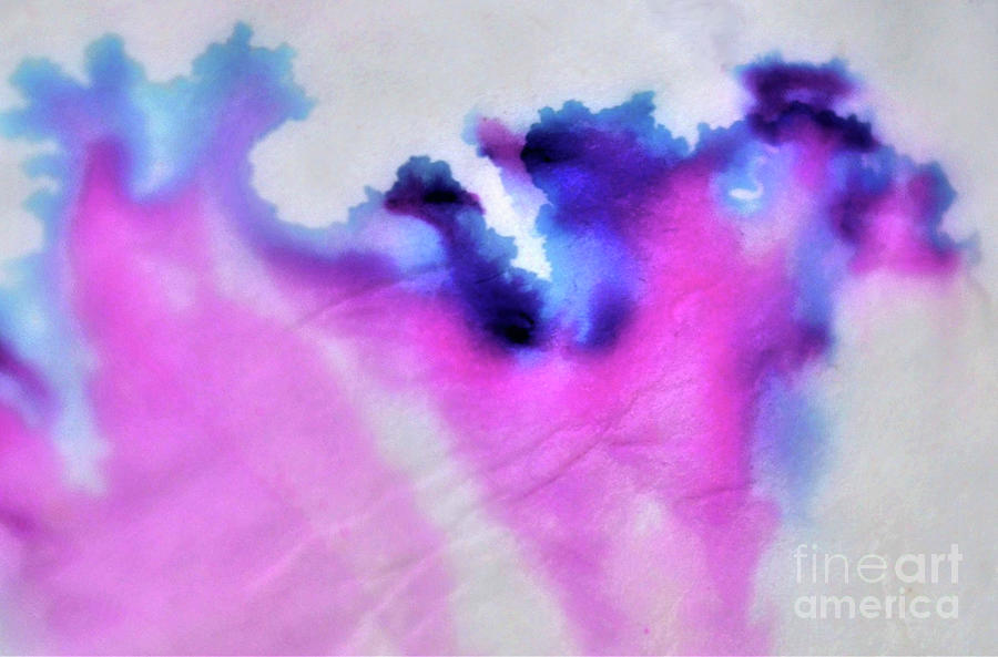 Ink Cloud, Color Photograph By Ziffy - Fine Art America