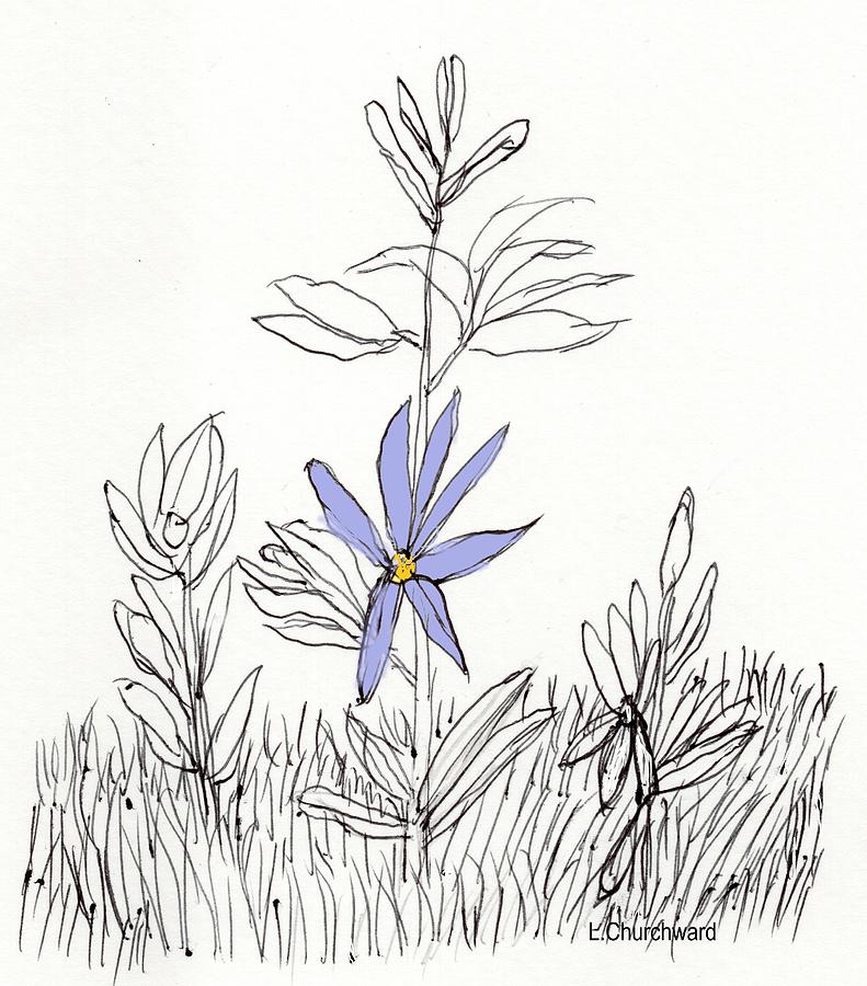 Ink Wildflowers Drawing by Lois Churchward Fine Art America