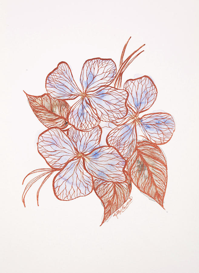 Watercolor Painting - Inked Floral #2 by Kelly Edwards Watercolor Painting - Inked Floral #2 by Kelly Edwards
