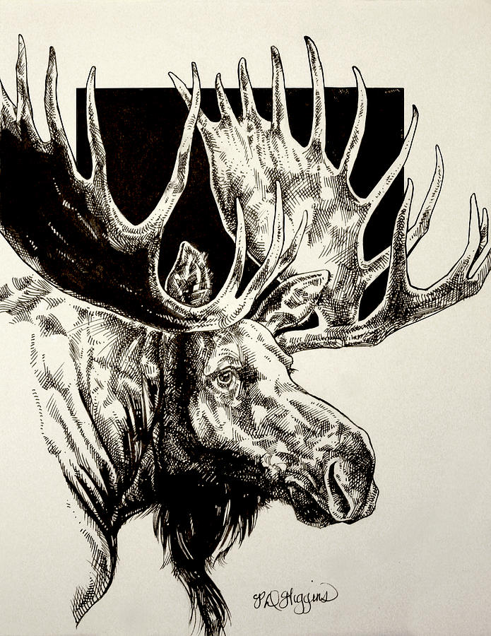 Yellowstone National Park Painting - Inked Moose by Derrick Higgins