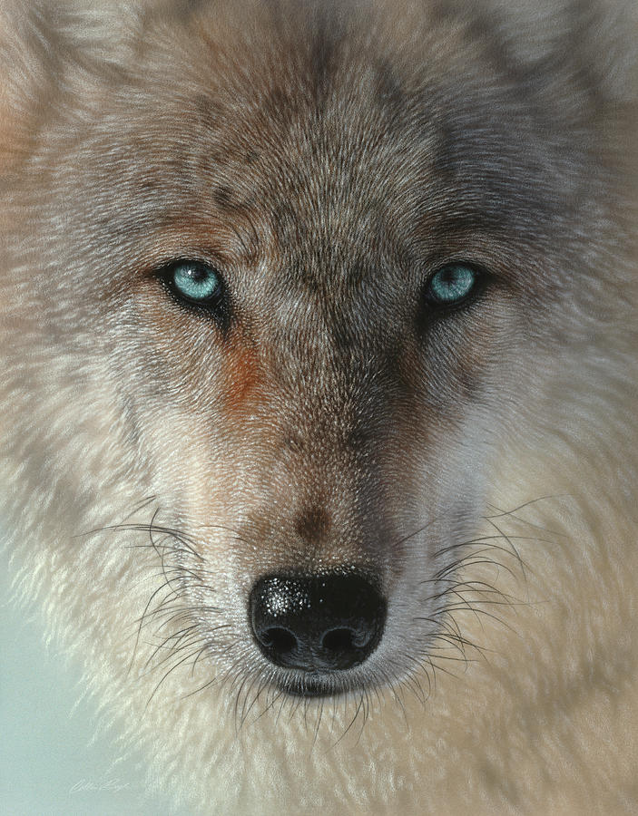 Inner Wolf Pack Pastel by Collin Bogle