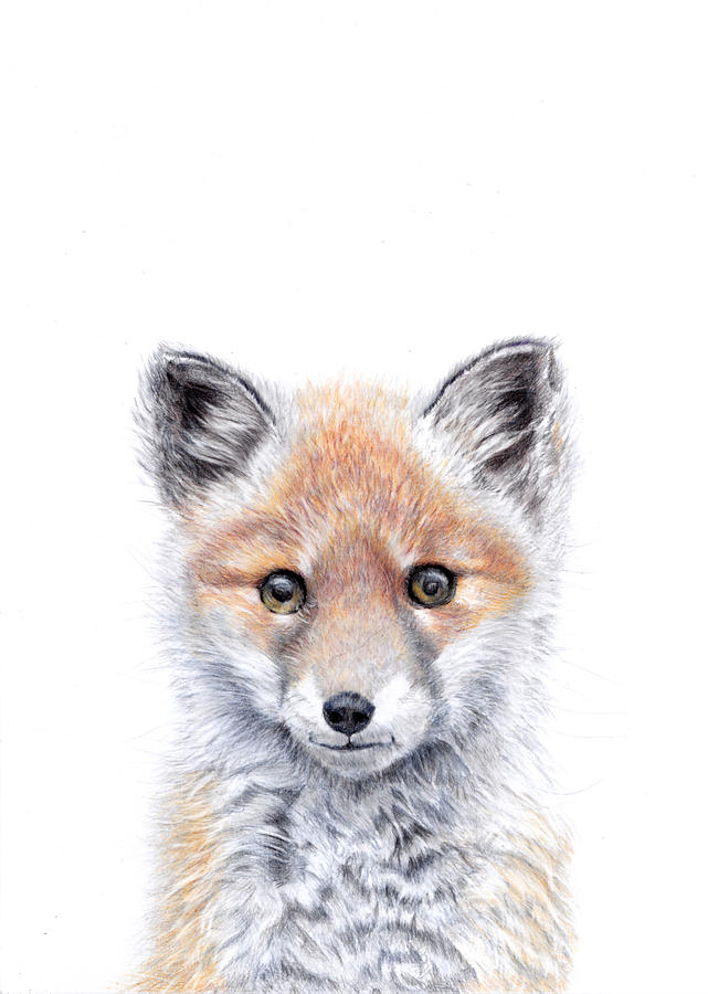Nature Painting - Innocence - Red Fox Cub by Debra Hall