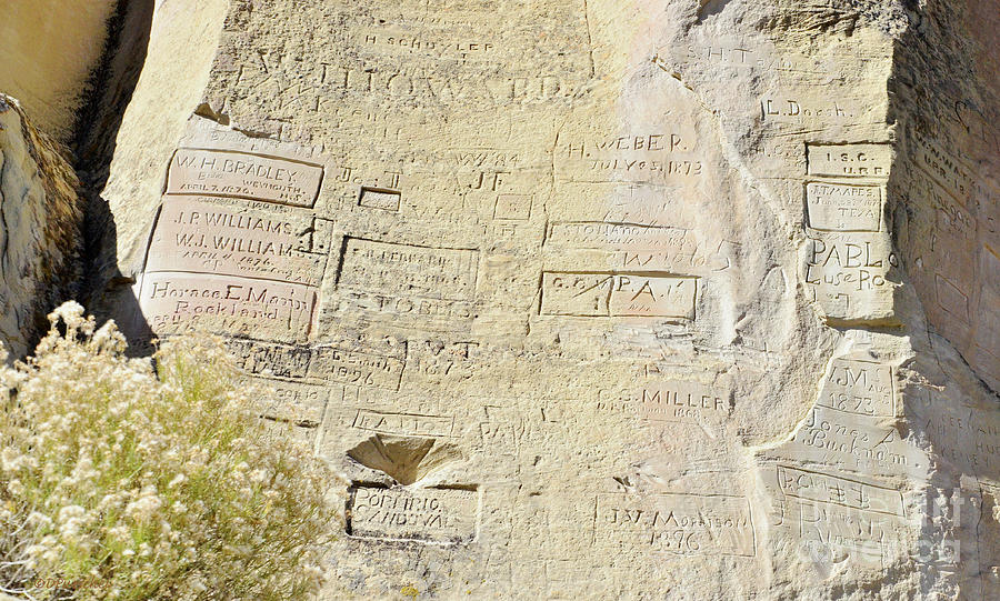 Inscription Rock El Morro National Monument Photograph by Debby Pueschel