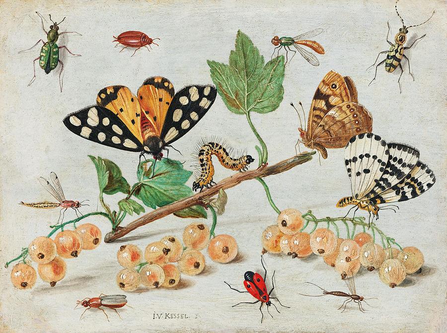 Insects and Fruits (1660–1665) by Jan van Kessel Vintage Art top Canvas