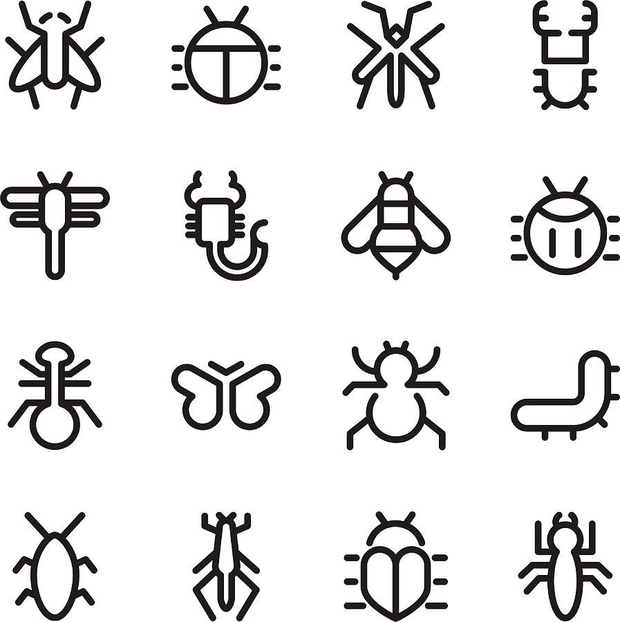 Insects Icons Drawing by TongSur