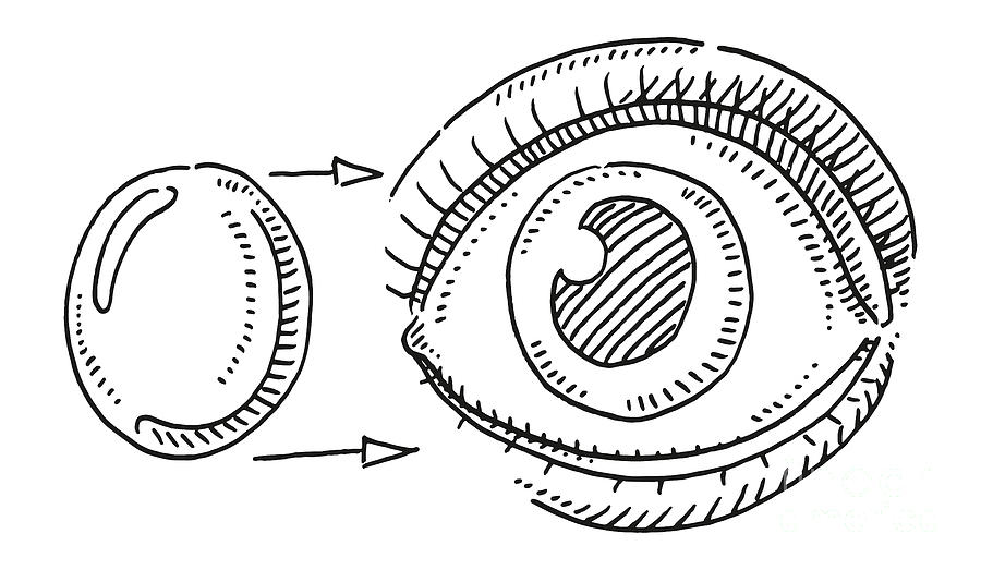 Insert Contact Lens Eye Drawing Drawing by Frank Ramspott - Fine Art ...