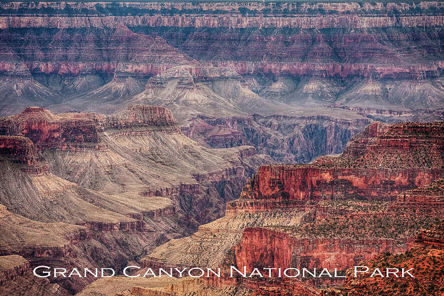 Inside Grand Canyon National Park Poster Photograph by James BO Insogna