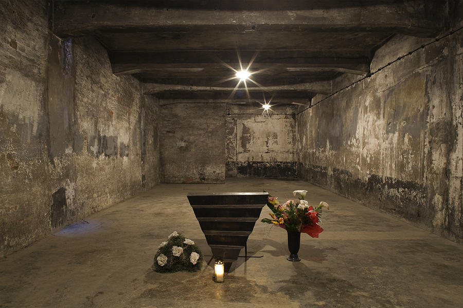 Inside main Gas Chamber where millions of prisoners were executed in Auschwitz Concentration Camp, Poland Photograph by David Clapp