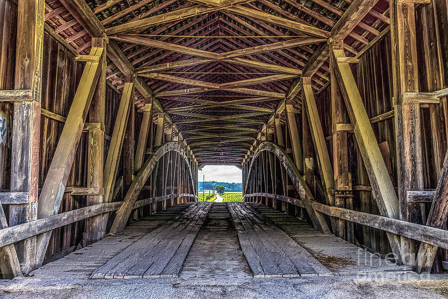 Inside McAllister Bridge Painterly Mixed Media by Jennifer White