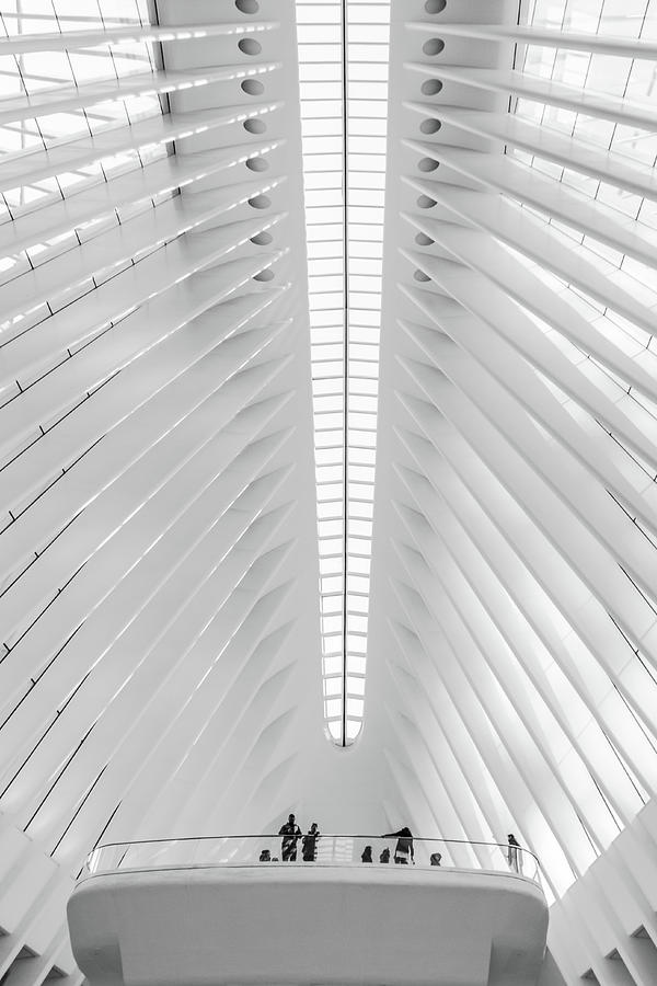 Skylight of Oculus Photograph by Elvira Peretsman