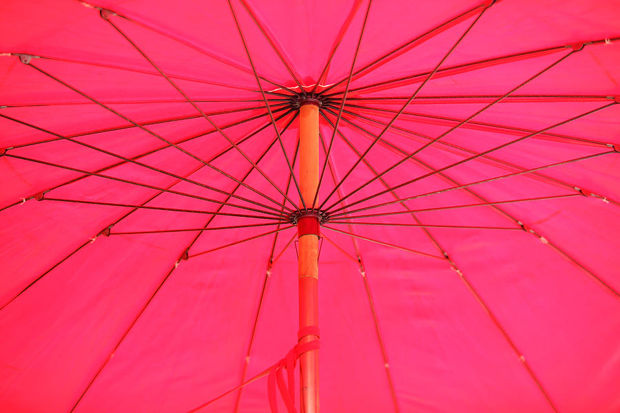 Inside Of Pink Umbrella Photograph by Sakhorn38