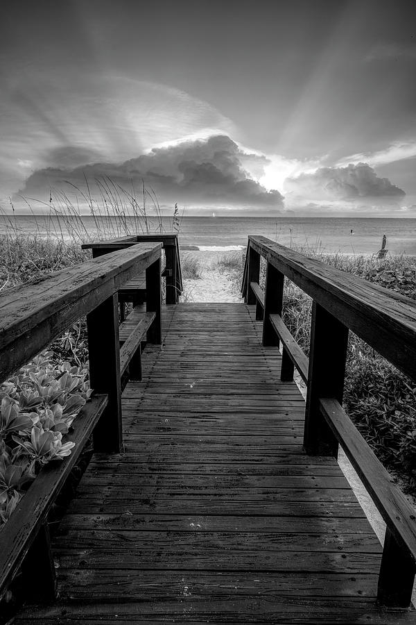 Inspiration at the Beach in Black and White Photograph by Debra and Dave Vanderlaan