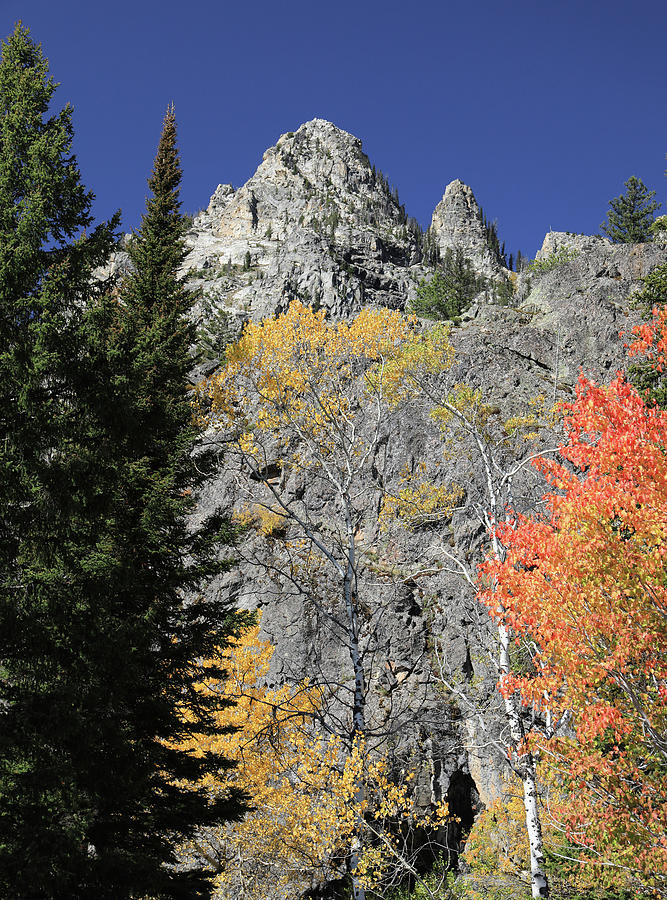 Inspiration Point In Autumn Photograph by Dan Sproul
