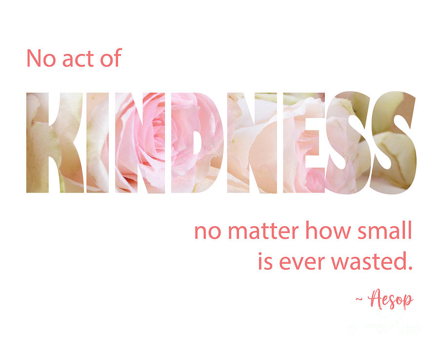 Rose Photograph - Inspirational Quote, Kindness by Aesop by Milleflore Images