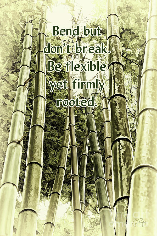 Inspiring Bamboo  Photograph by Gabriele Pomykaj