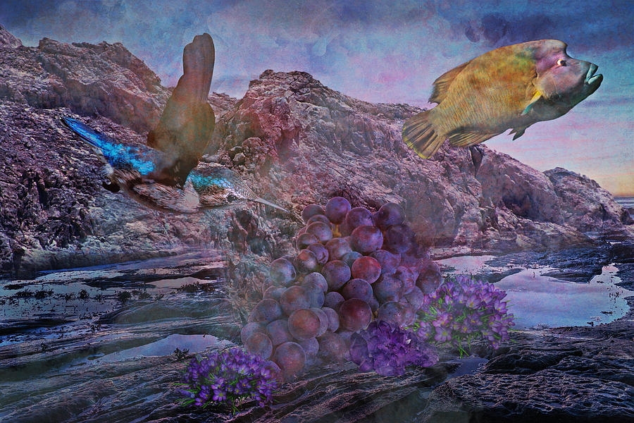 Inspiring Fish To Fly Mixed Media by Ally White