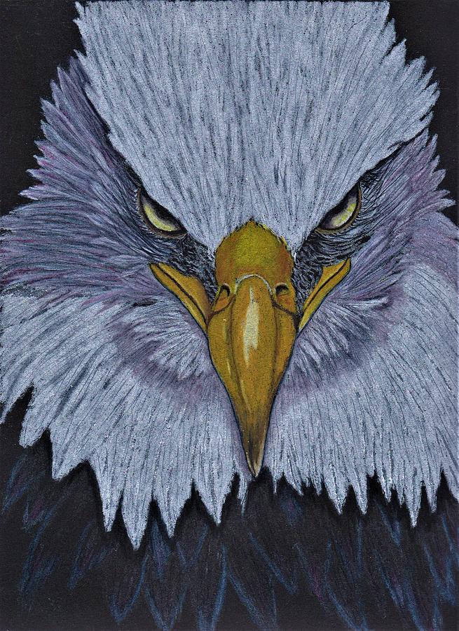 Intense Eagle Drawing by Jay Johnston Fine Art America