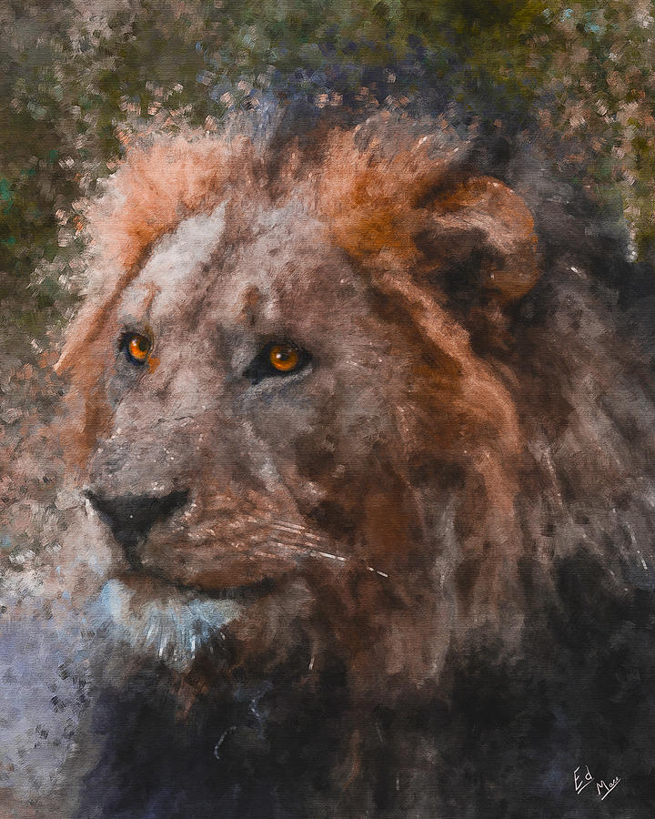 Intense Lion Painting by William Mace