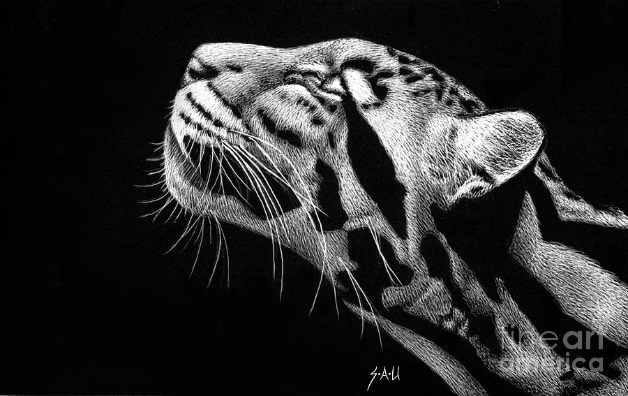 Intensely Focused Drawing by Sheryl Unwin