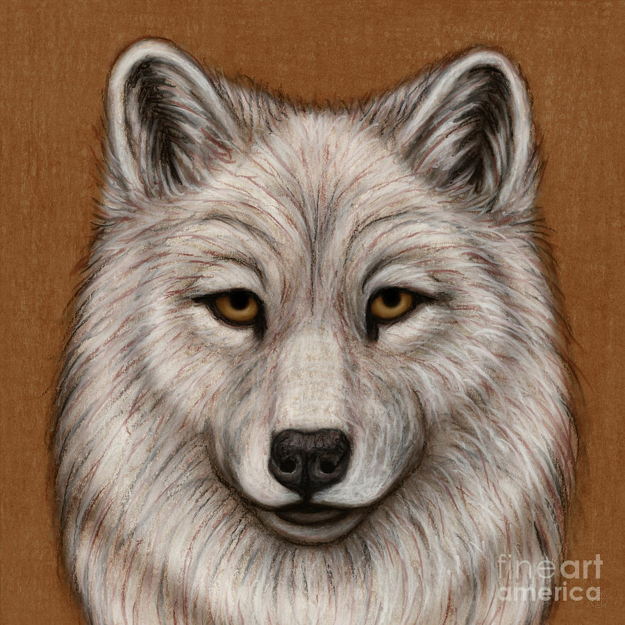 Interior Alaskan Wolf  Painting by Amy E Fraser