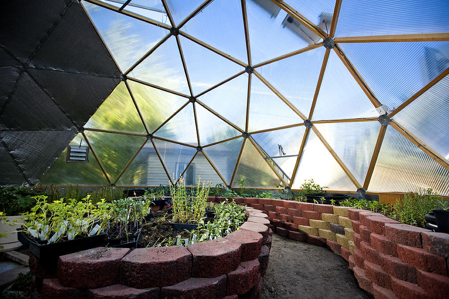 Interior of Beautiful Greenhouse Dome Photograph by Renphoto