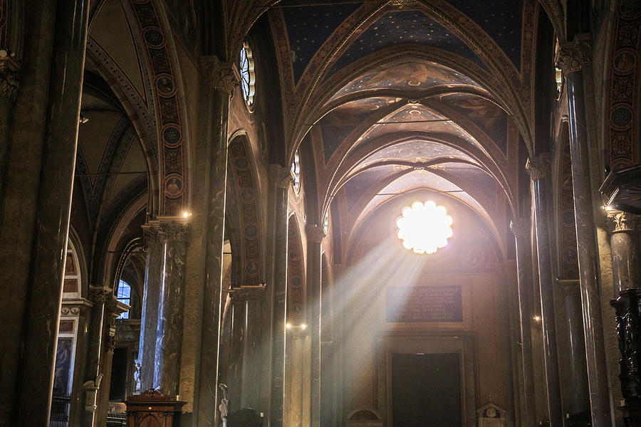 Interior of Santa Maria sopra Minerva Photograph by Fabiano Di Paolo