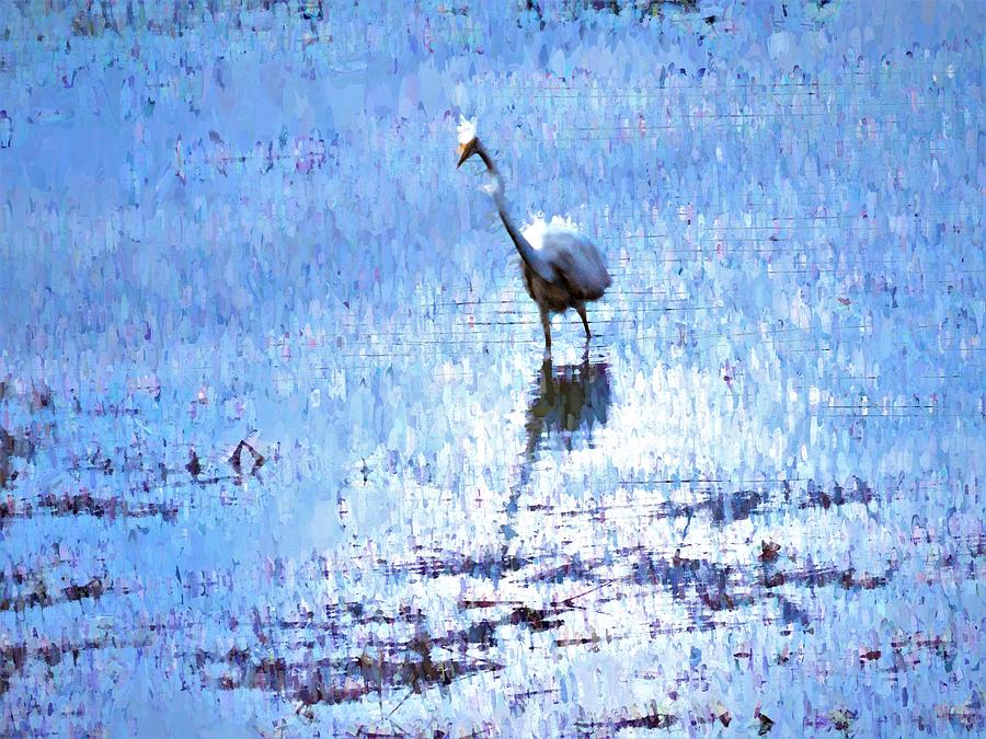 Intermediate Egret at Lake Pat Photograph by Joan Stratton