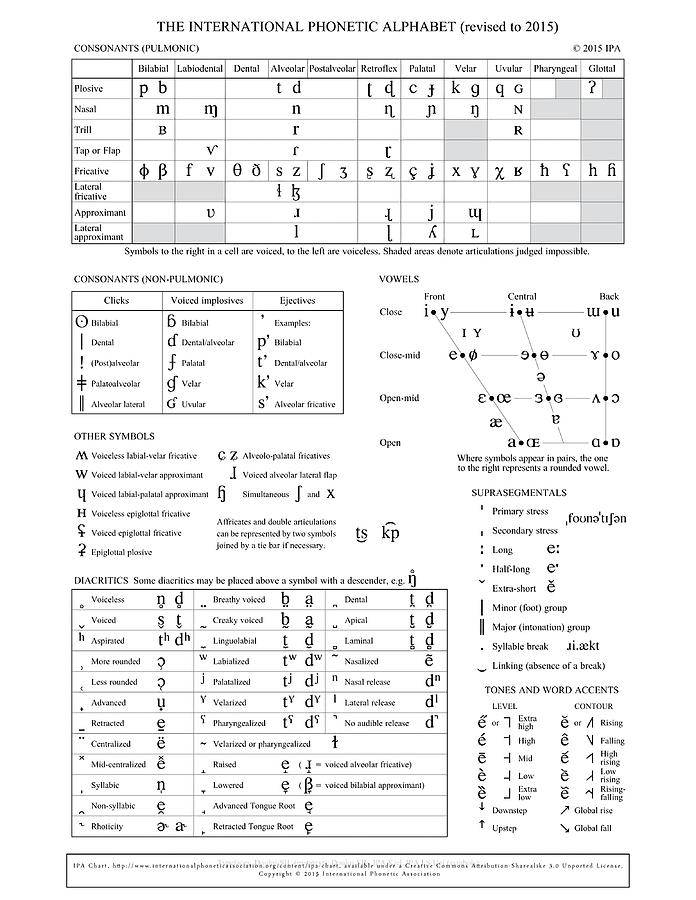 International Phonetic Alphabet IPA Poster Painting by Turner Joanne ...