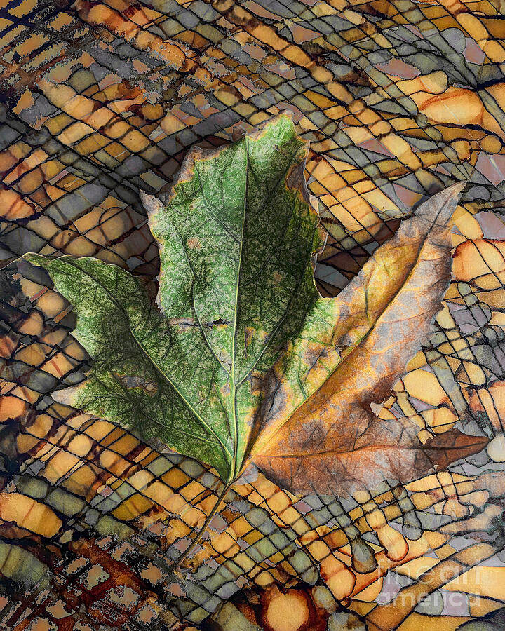 Intersecting Lines Digital Art by Laura L Leatherwood Intersecting Lines Digital Art by Laura L Leatherwood