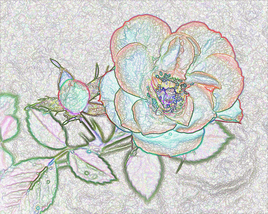 Interweave-roses Digital Art by Tom Druin