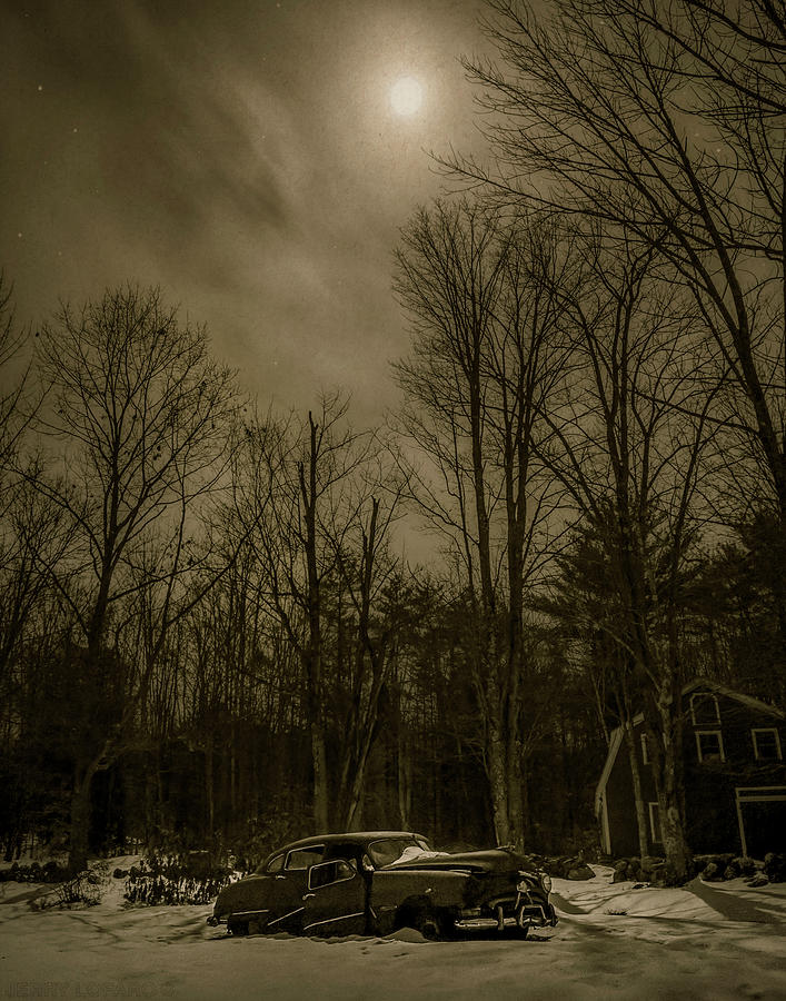 Tree Photograph - InThe Dead of Night by Jerry LoFaro