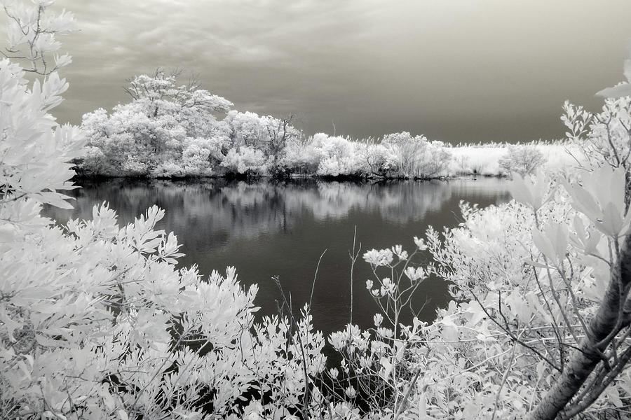 Intimate Lake in Infrared Photograph by Liza Eckardt