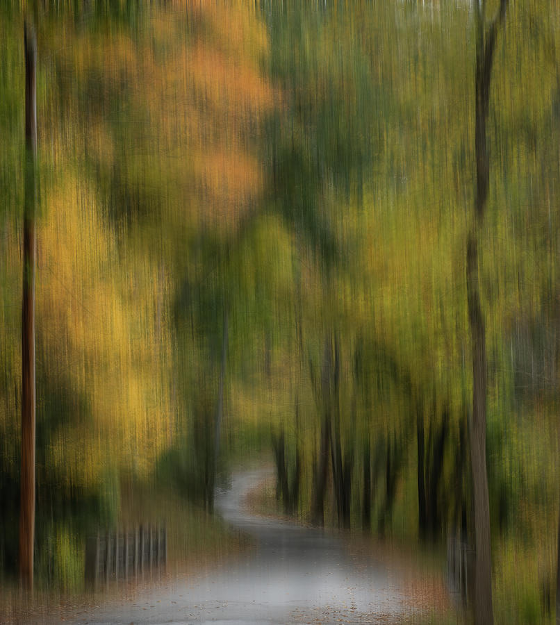 Into Autumn we Go  Photograph by Sylvia Goldkranz