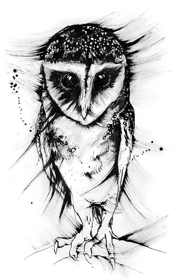Into My Eyes - The Magical Sooty Owl Drawing
