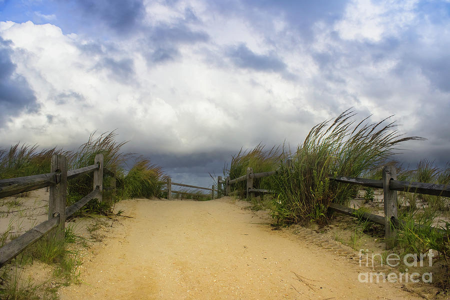 Landscape Photograph - Into the Blue by Colleen Kammerer