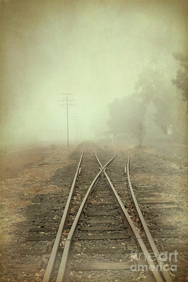 Into the Fog #2 Photograph by Elaine Teague