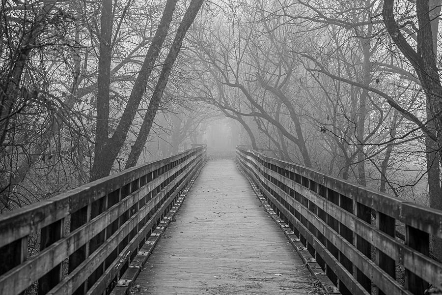 Into the Fog Photograph by Dale R Carlson